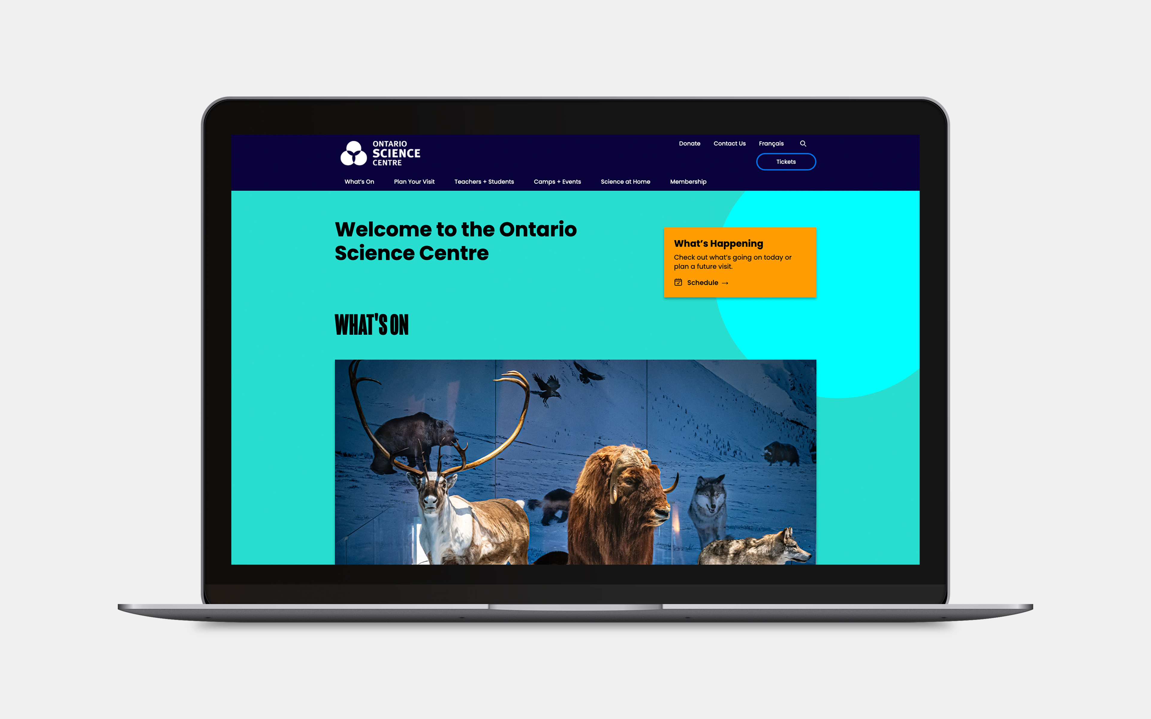 OSC Website home page